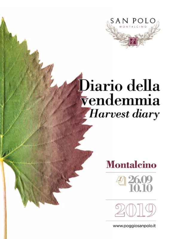 Edition 2019